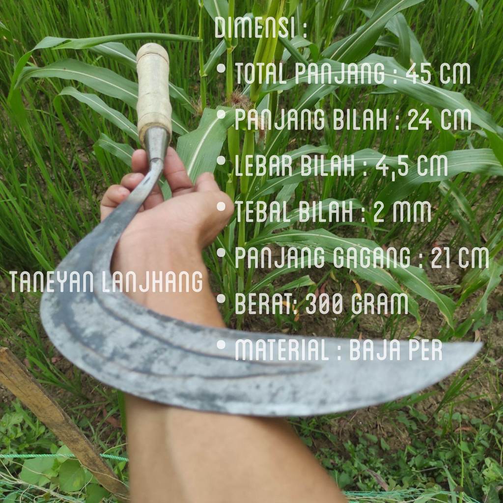 Arit baja isen super tajam cap tiga kuku / arit baja isen Madura / arit rumput baja asli Madura / sa