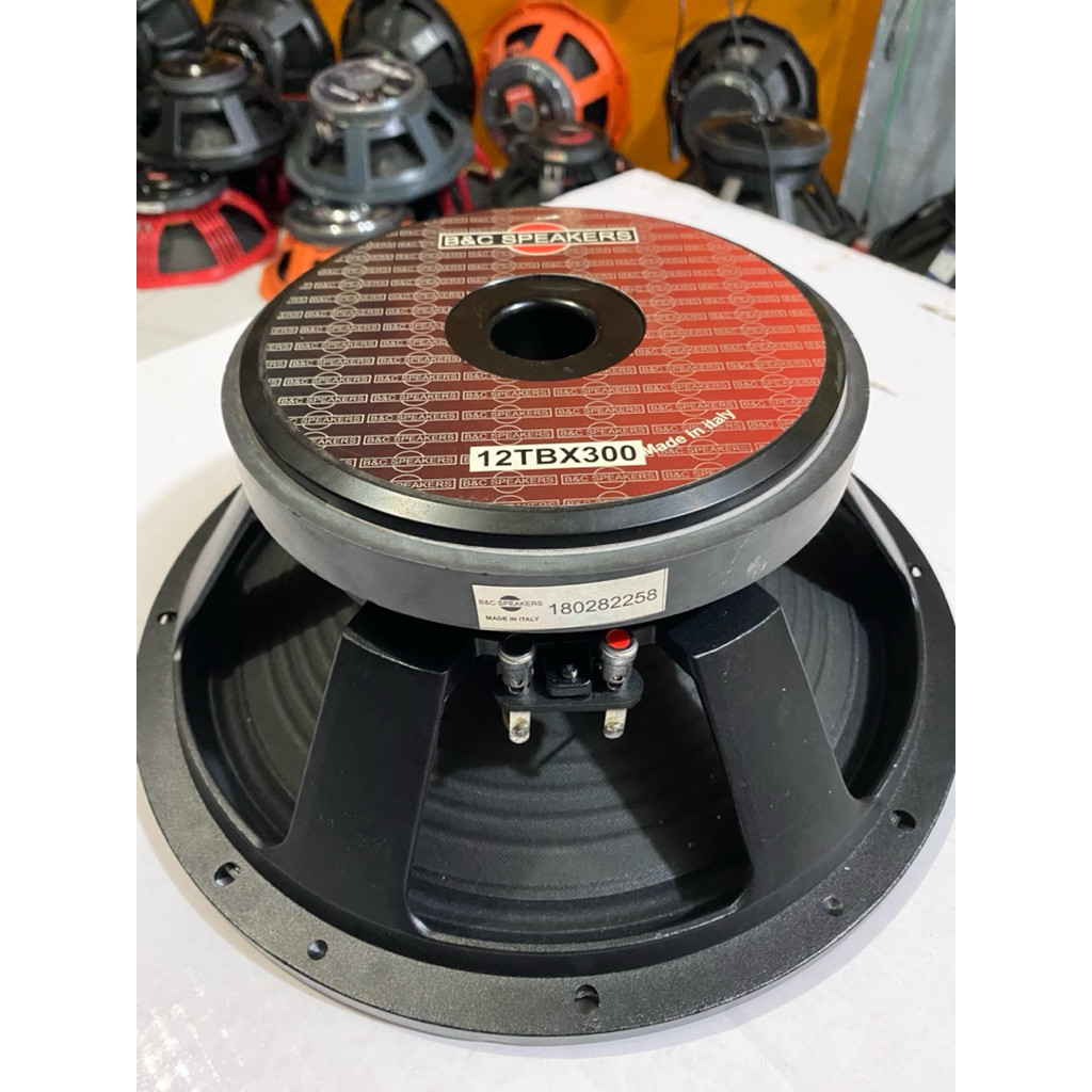speaker 12 inch / BnC 12TBX300 Subwoofer original grade A