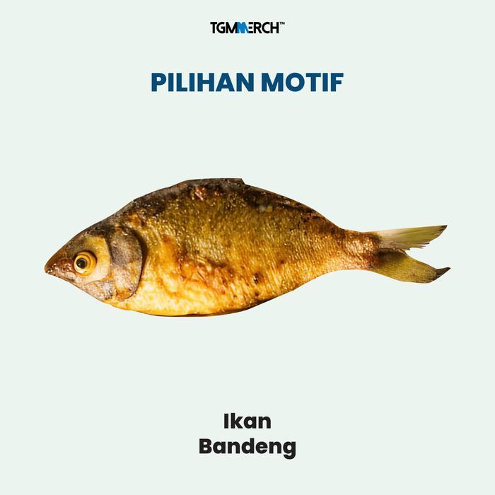 TGM MERCH - Bantal Boneka Motif Ikan goreng/Bakar - Ikan Bandeng, L (Proporsi 38 cm)