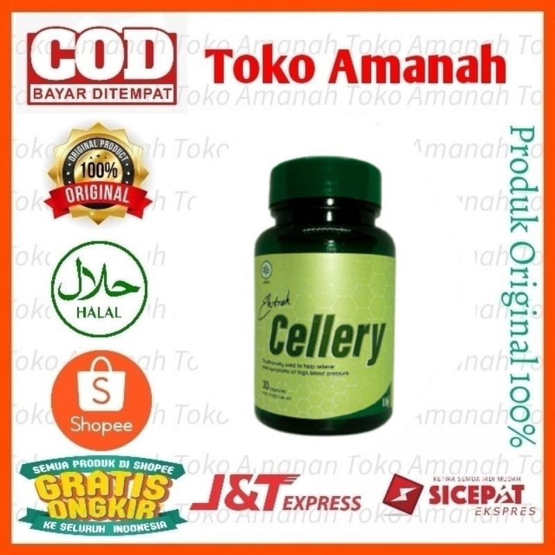 CELLERY Obat Darah Tinggi CELLERY Herbal CELLERY Obat Hipertensi(Gratis Ongkir)