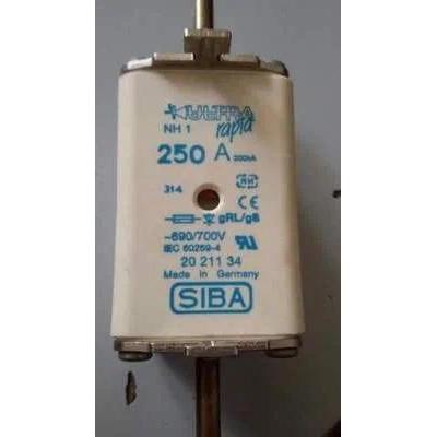Fuses: NH1 100A 125A 160A 200A 250A 690/700V 2021134 gRL gS / NH1XL 1200V 100A gTF 2002802 / NH1L 12