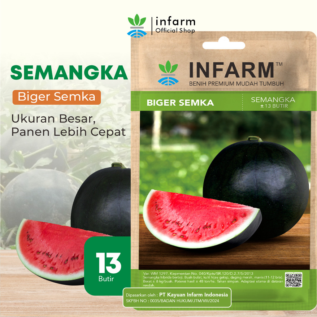 BOTANI - Benih Buah Semangka Merah Unggul, Bibit Buah Semangka Merah Jumbo Hibrida Super Bibit