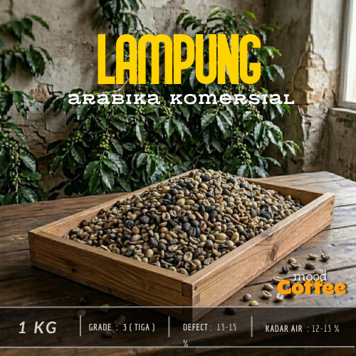 Arabika Lampung komersial biji kopi mentah | 1Kg Green Bean
