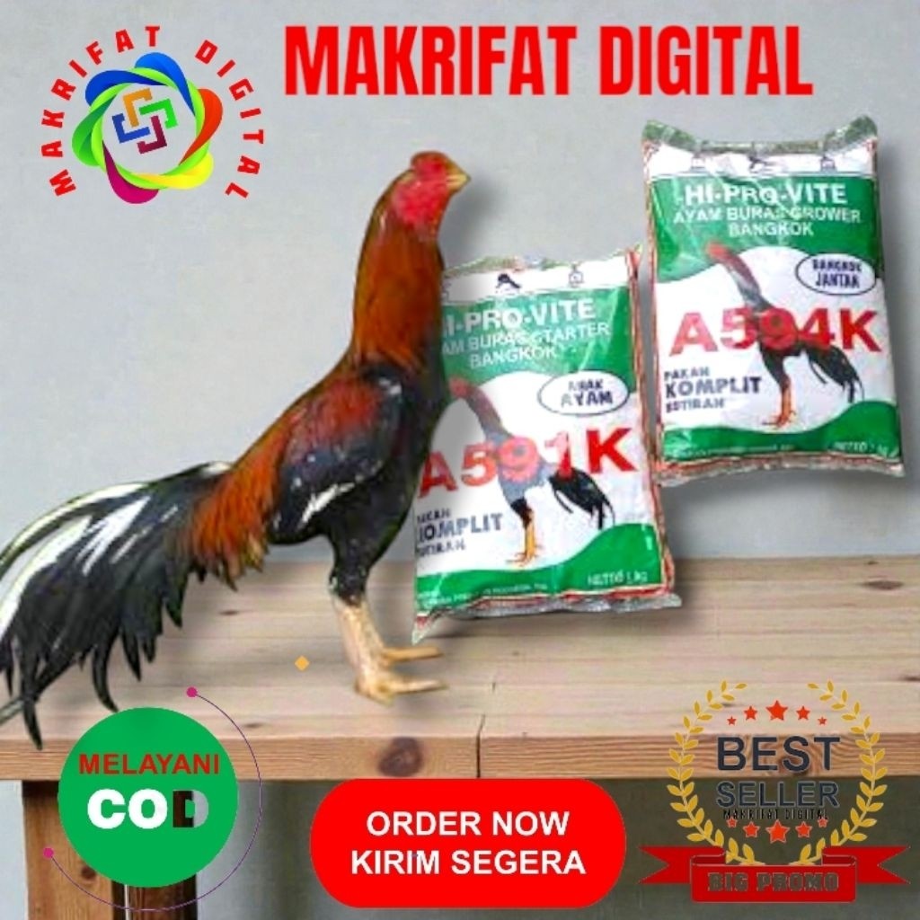 ZACK MART Paket 3 Kg Sentrat Poer Pur Voer A594K Pakan AYAM KAMPUNG & RAS SEGALA AYAM PETARUNG  Usia