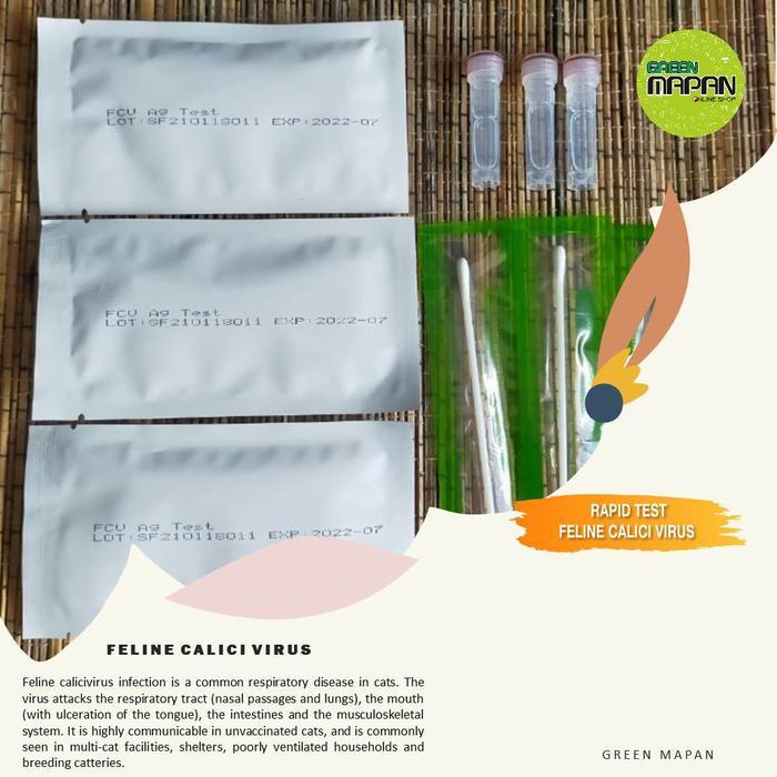 Feline Calici Virus (FCV) Test Kit Kucing