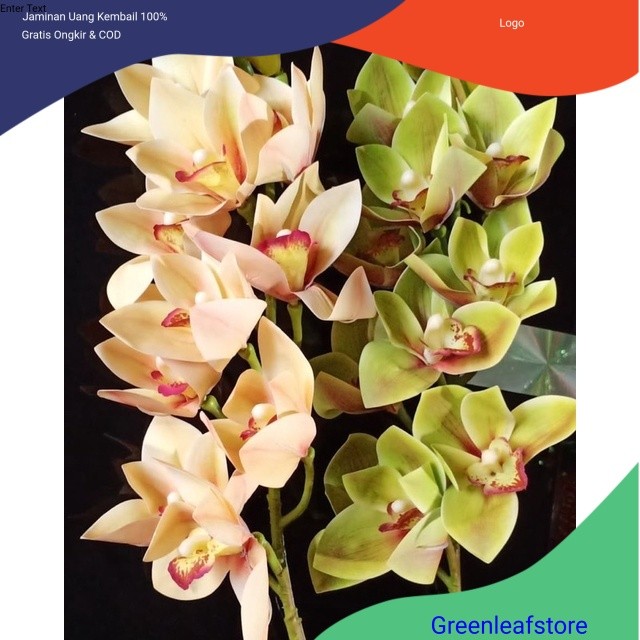 Bunga Anggrek cymbidium - Bunga anggrek -Bunga hias anggrek - Tanaman Hias Hidup - Bunga Hidup - Bun