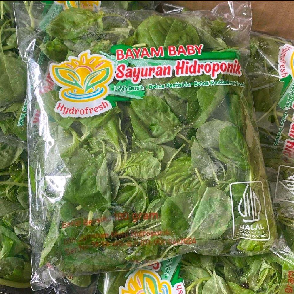 Bayam Baby Hidroponik | Sayur Bayam Baby Fresh | Pack