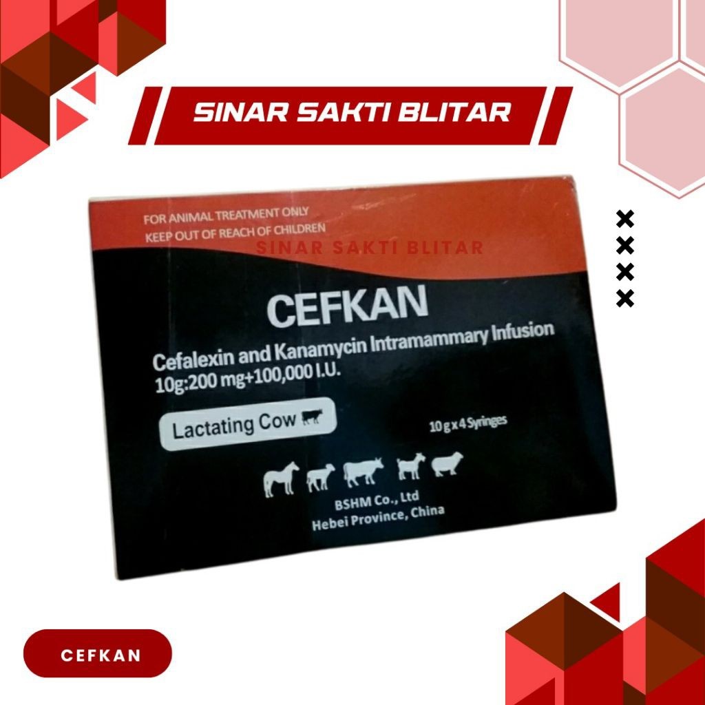 CEFKAN (PENGOBATAN MASTITIS KLINIS PADA SAPI PERAH MENYUSUI) - Harga Jual per Syringe