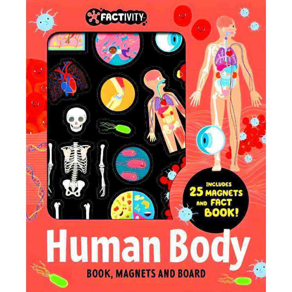 FACTIVITY - MAGNETIC FOLDER - HUMAN BODY (NEON EDITION)