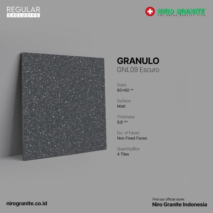 NIRO GRANITE 1st Grade - Granulo GNL09 - Matt -