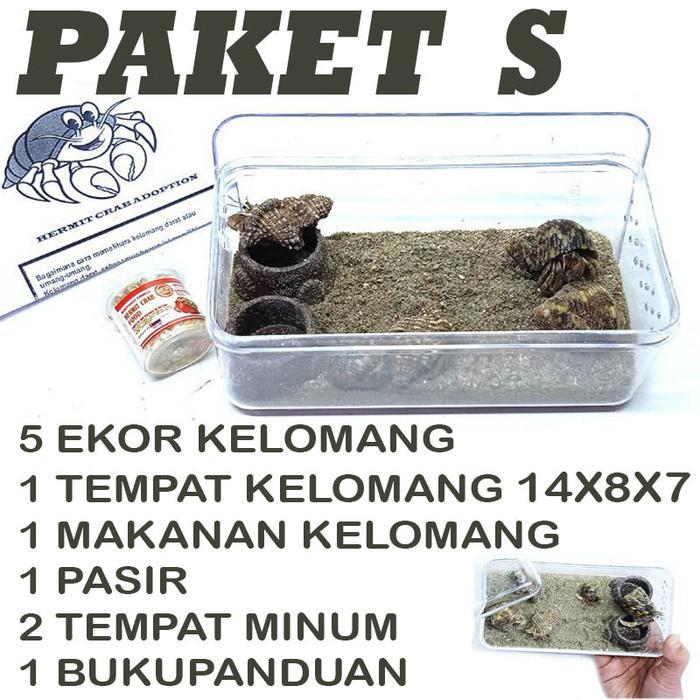 Paket edukasi mainan anak kelomang keong kumang umang kecil mini murah - PAKET KECIL