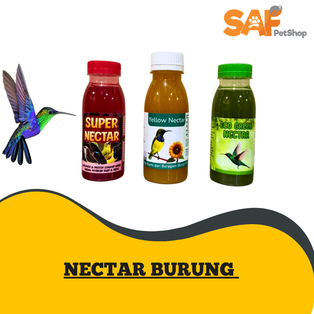Nektar Burung Kolibri Konin Sogon Pleci Pakan Harian Pengganti Kroto