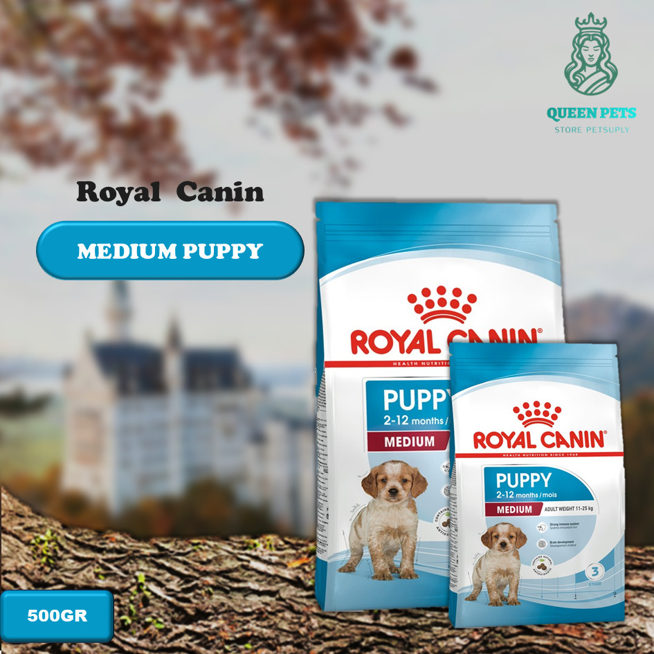 DOG FOOD | Royal Canin Dog Medium Puppy 500gr