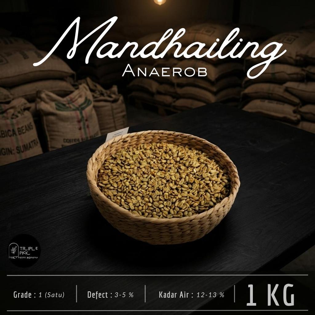 Green bean / Biji kopi Arabika Mandailing - AnaErob Proces TERMURAH