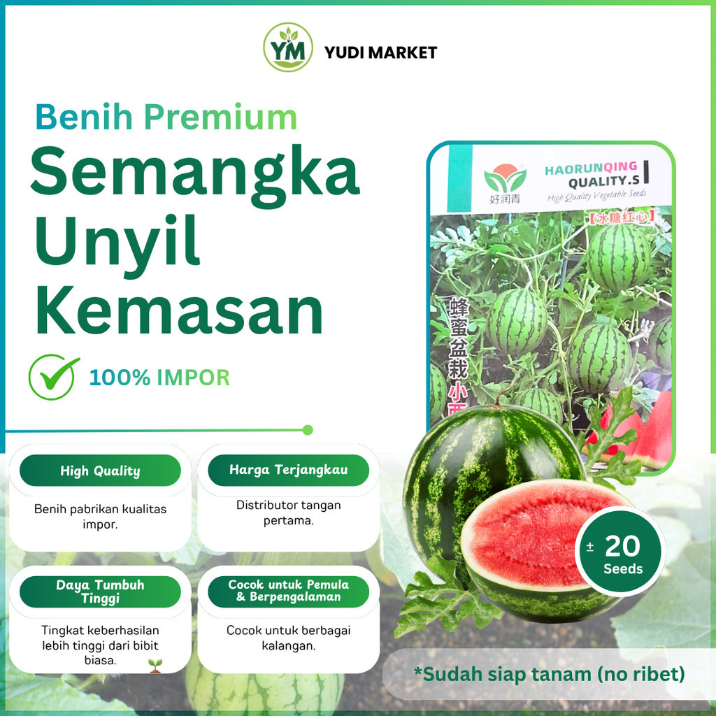 Benih Semangka Mini 50 Butir Impor Premium | Bibit Semangka Kecil Manis, Daya Tumbuh Tinggi & Panen 