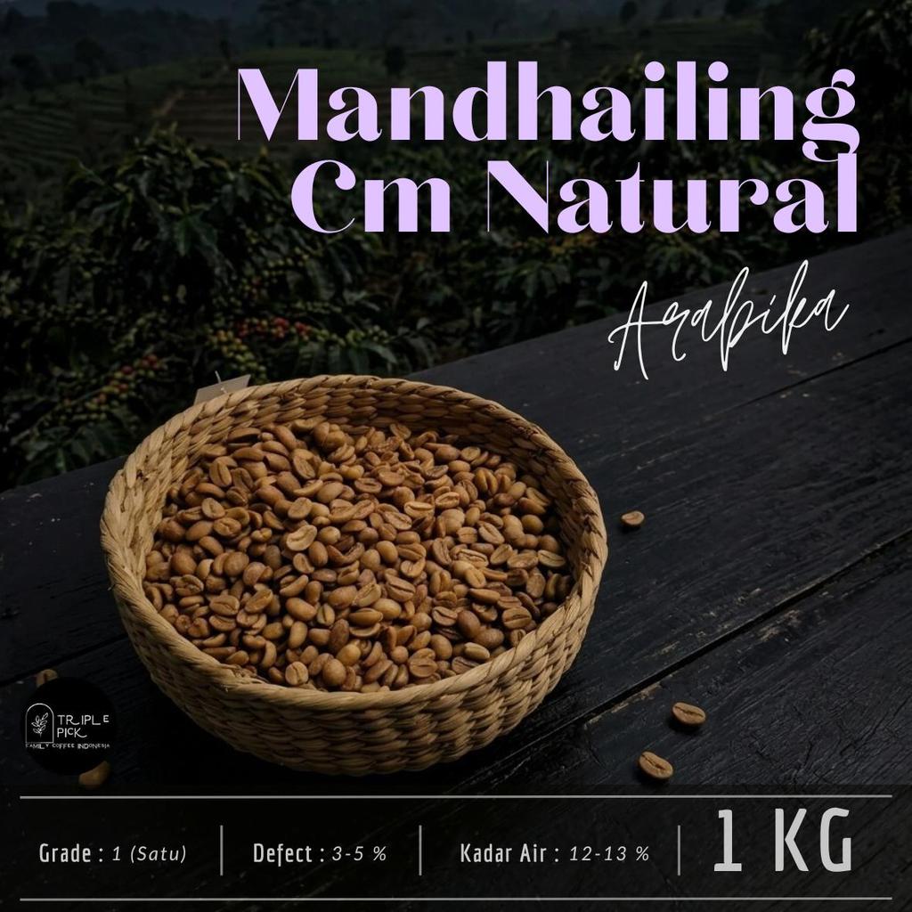 green bean / Biji kopi arabika mandailing CM Natural TERMURAH