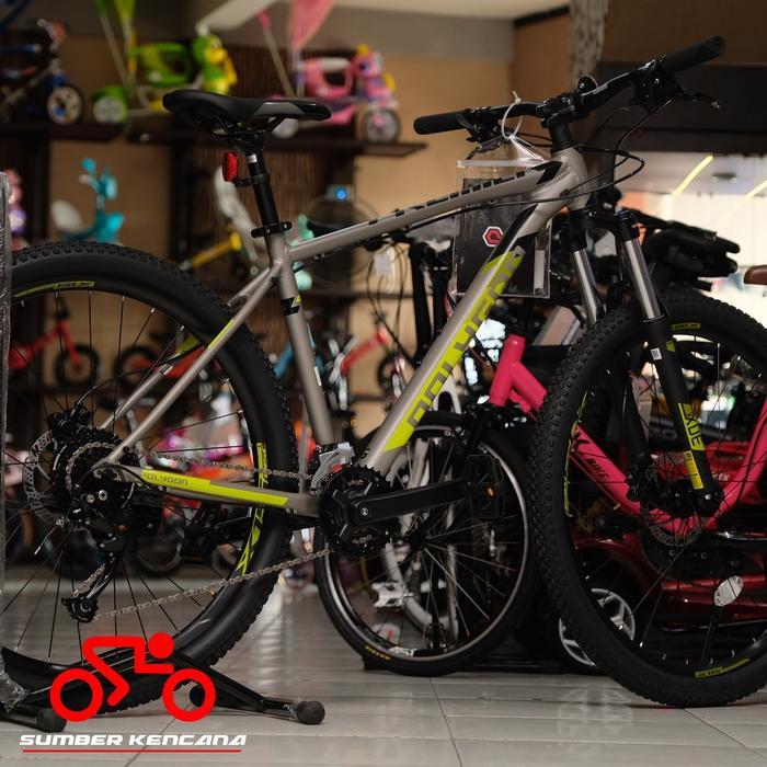 MTB POLYGON PREMIER 5.0