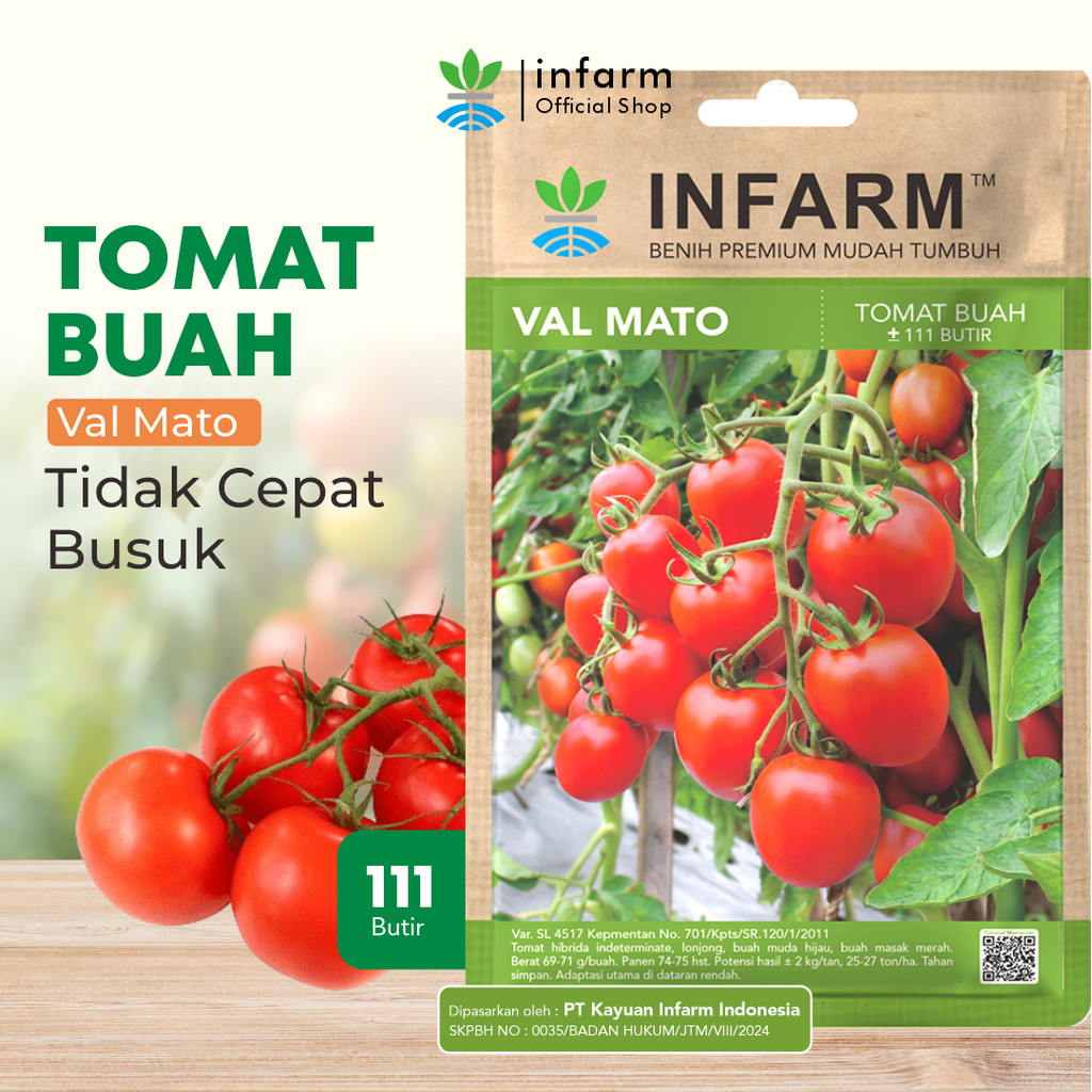 INFARM - Benih Buah Tomat Valmato Bibit Buah Tomat Manis Biji Tomat Buah Valmato Tomat Buah Manis Pr