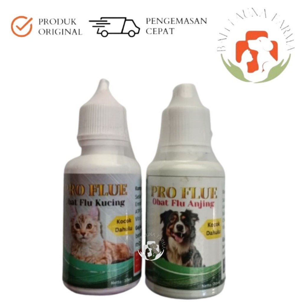 Pro Flue (obat flu)