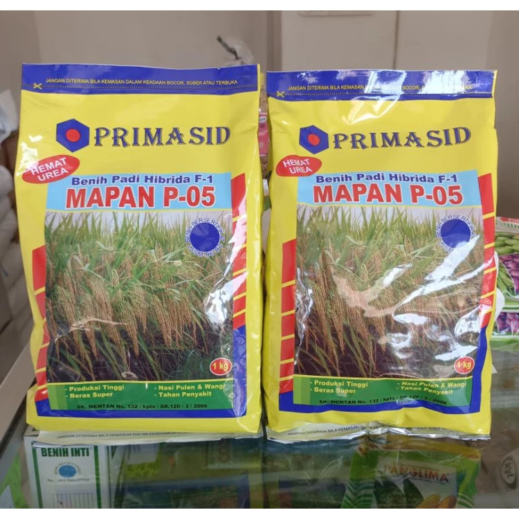 (READY STOCK) Bibit Padi Mapan 05 Asli 1 Kg Original Super Varietas Unggul