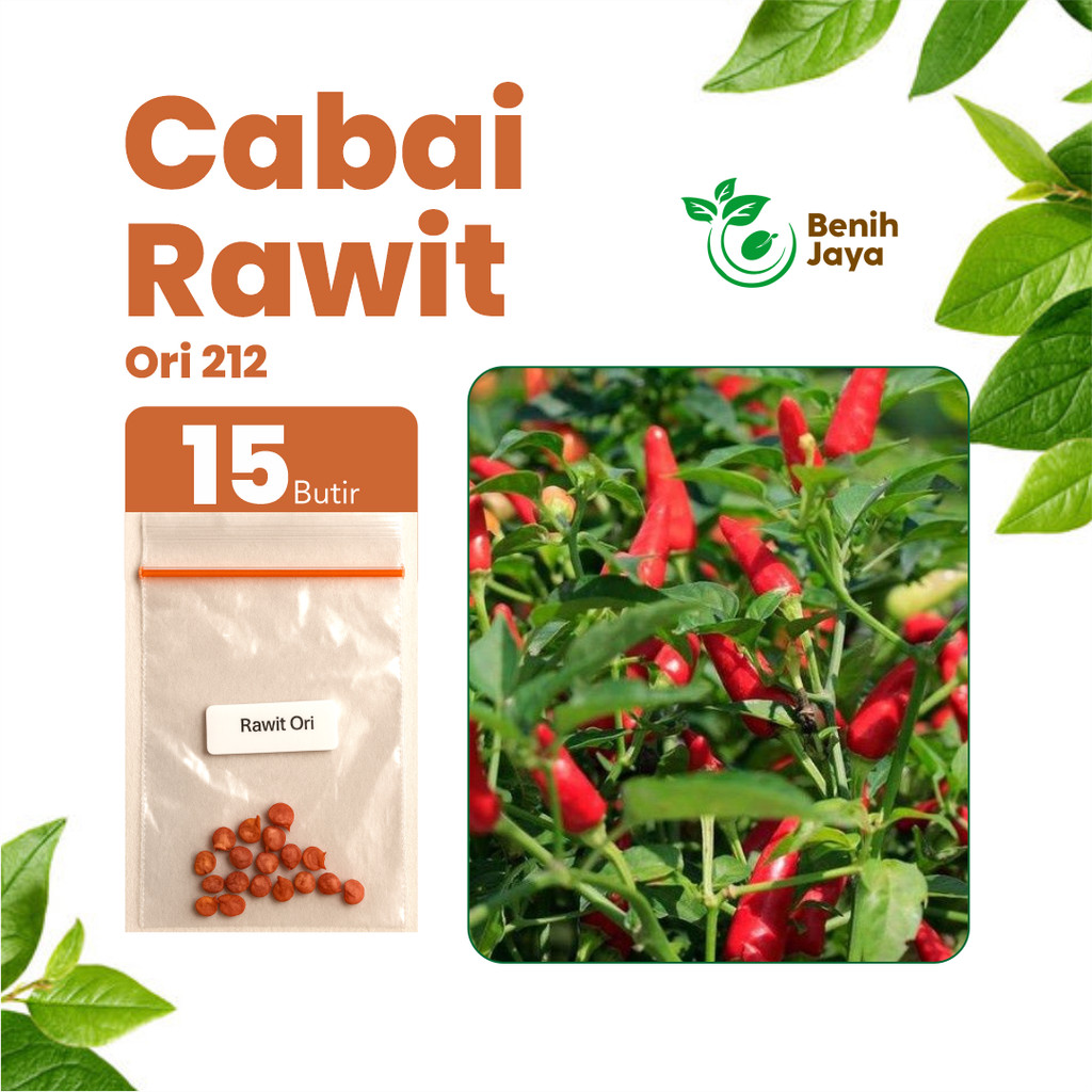 BENIH JAYA - Benih Cabai Rawit Ori Unggul Bibit Cabe Rawit Super Cabe Rawit Pedas Lebat Premium