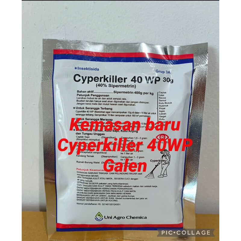 Cyperkiller 40 WP anti kutu  serangga walet ASLI KOREA