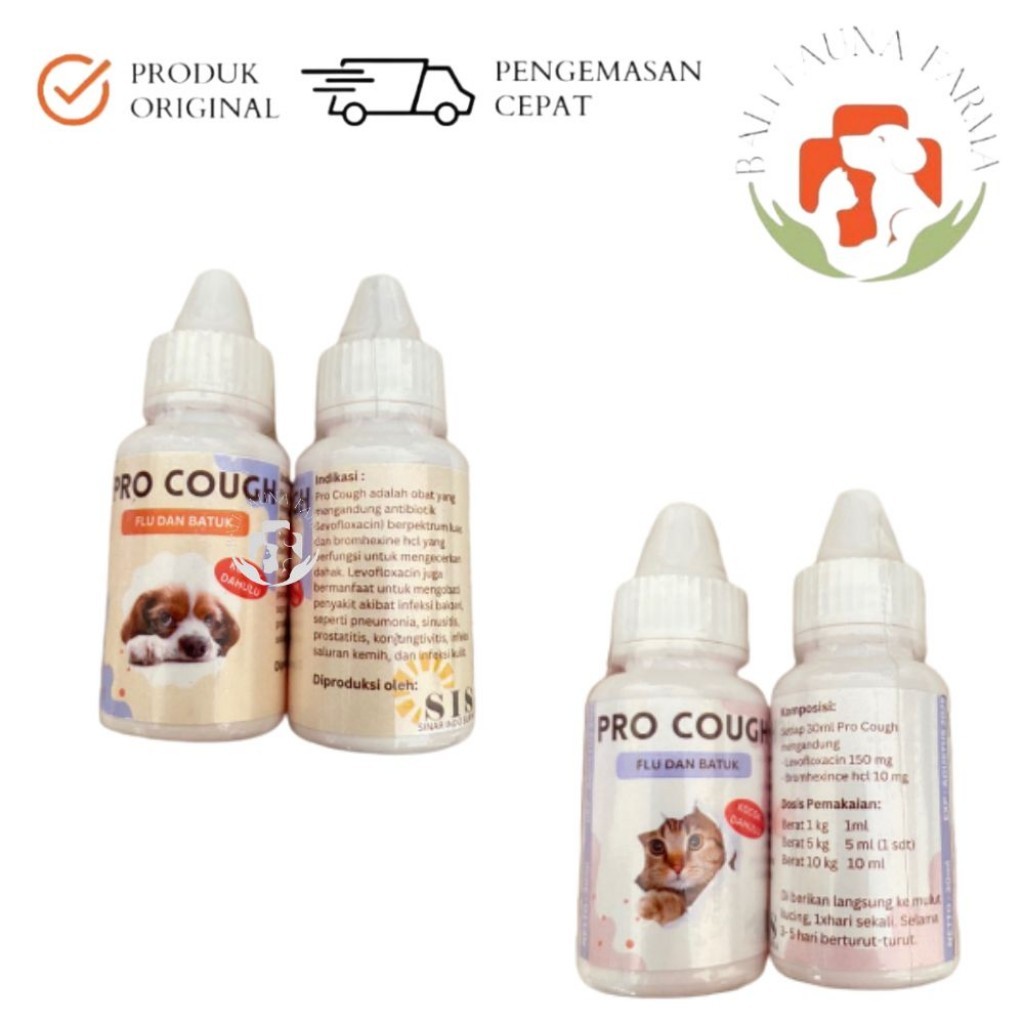 Pro Cough (obat flu dan batuk)