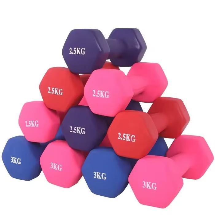 Dumbell Barbell 0,5 kg / 1 kg / 2 kg / 3 kg Dumbel / Barbel Kualitas Tinggi Original Import (HARGA P