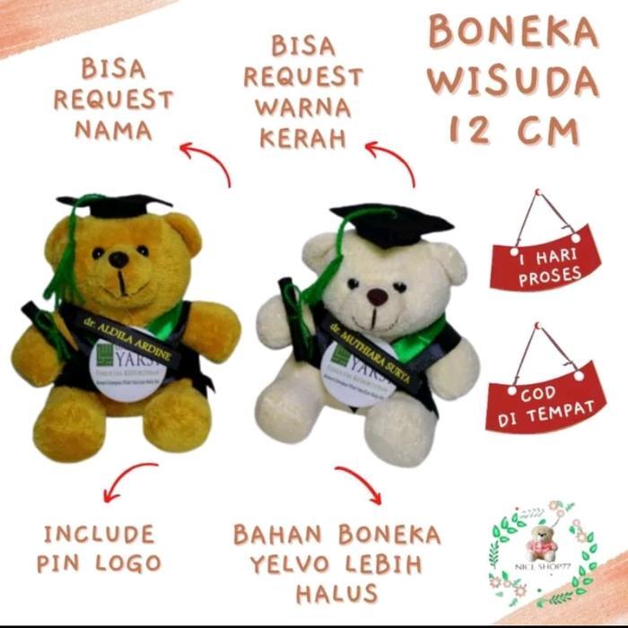 Boneka Wisuda Murah 12cm - Cokelat, kotak mika