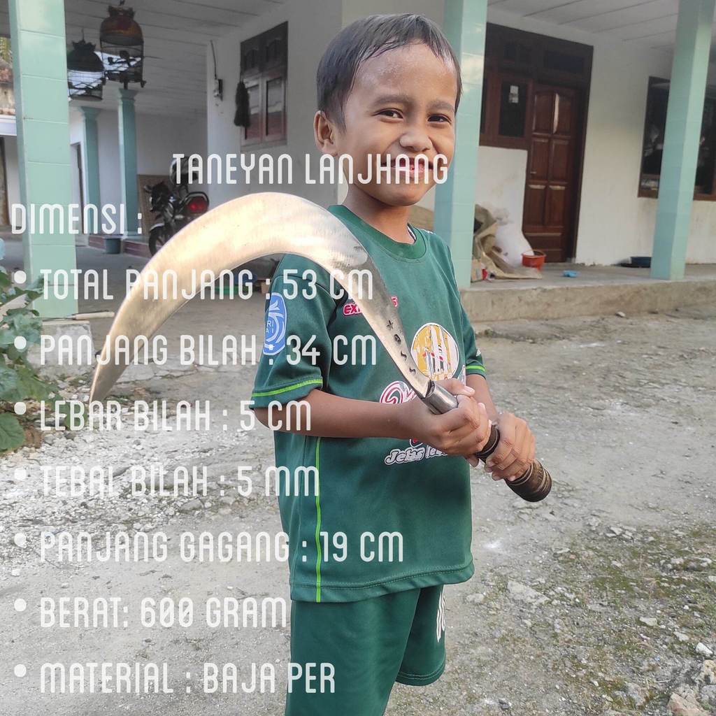 COD Seluruh Indonesia Arit Bintang 9ss Asli Madura / Sabit Baja Asli Super Tajam / Arit Ranting