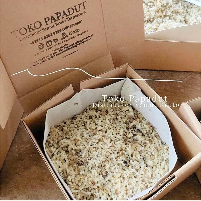 Kroto Super - Kroto Telur Semut Hobi Mancing dan Makanan Burung 100gr | PAPADUTS