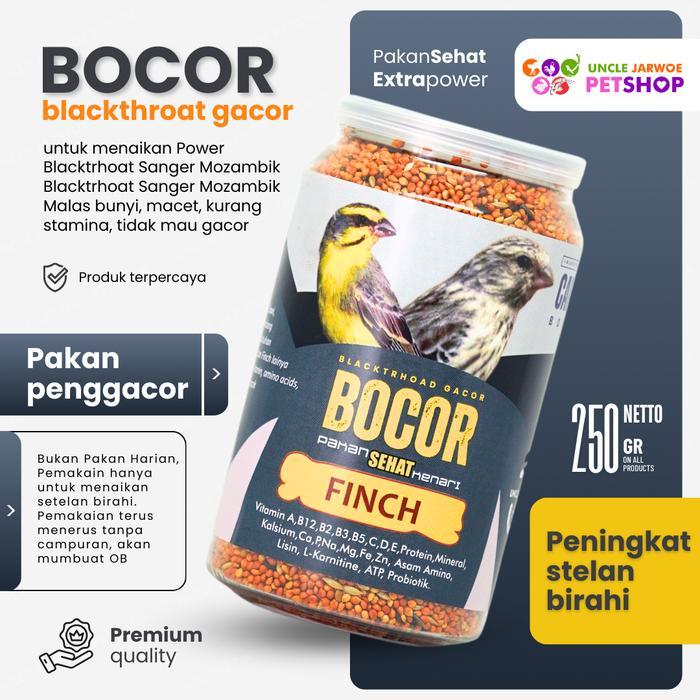 BOCOR Caroll Blacktrhoat Sanger macet langsung Gacor