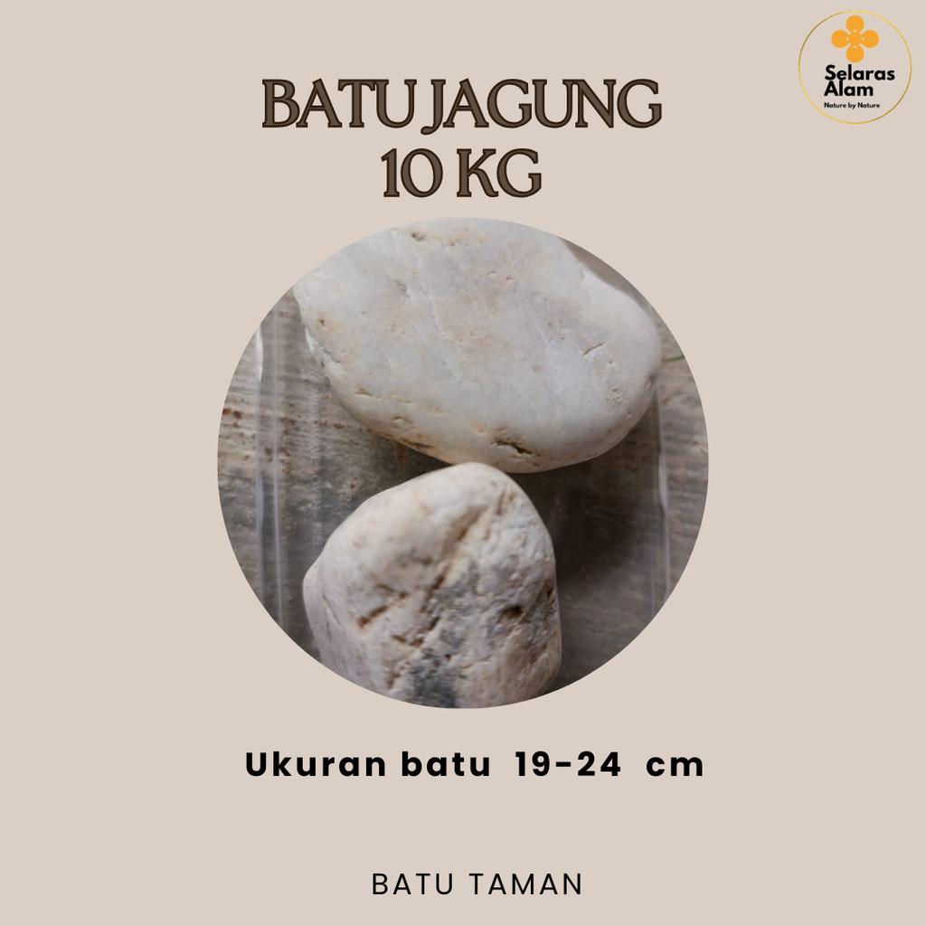 BATU JAGUNG PUTIH BESAR WHITE CORN PEBBLE STONE 10 KG