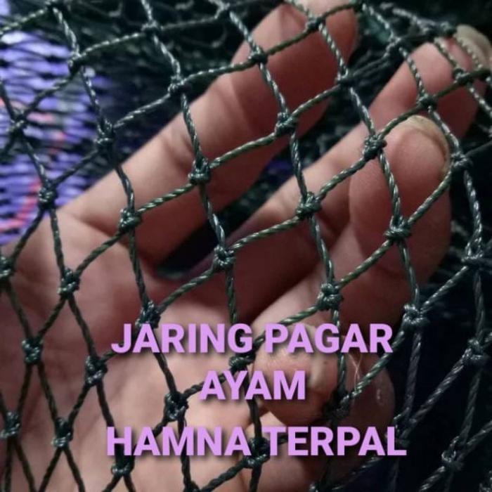 jaring pagar ayam 2,5 x 10 meter / jaring kandang bebek / jaring ayam