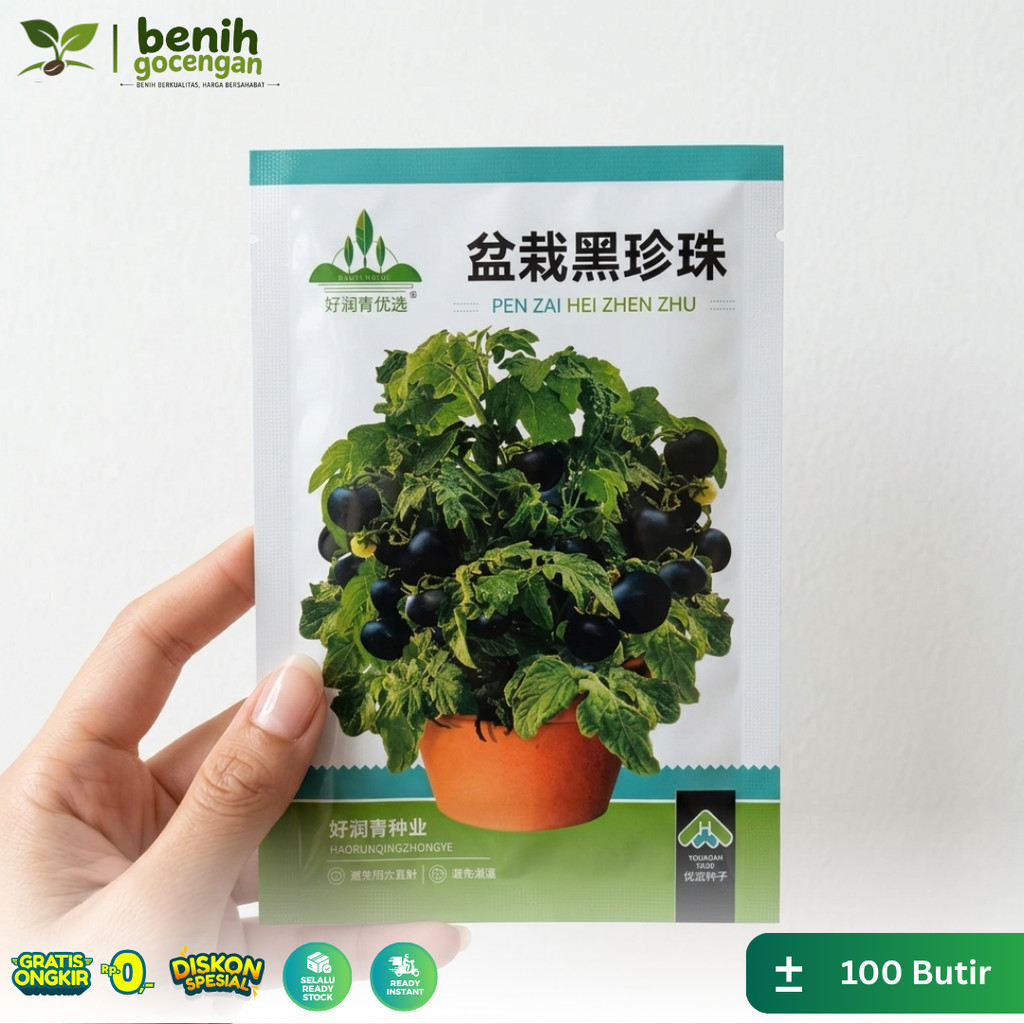 Benih Gocengan Tomat Cherry Hitam Impor 100 Butir | Benih Tomat Unik