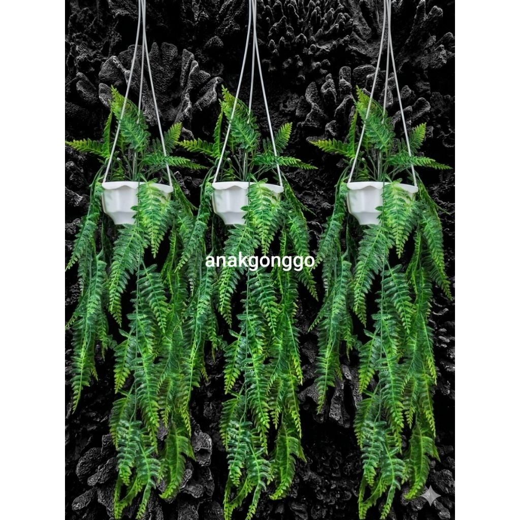 Bunga Grosir Jakarta 3 Set Pot Gantung Cendana Plastik dan 3 Daun Rambat Pakis Boston Artificial