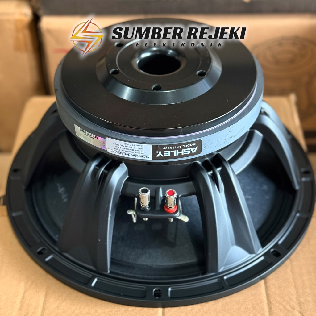Speaker ASHLEY 12 inch 12V300 Original ASHLEY