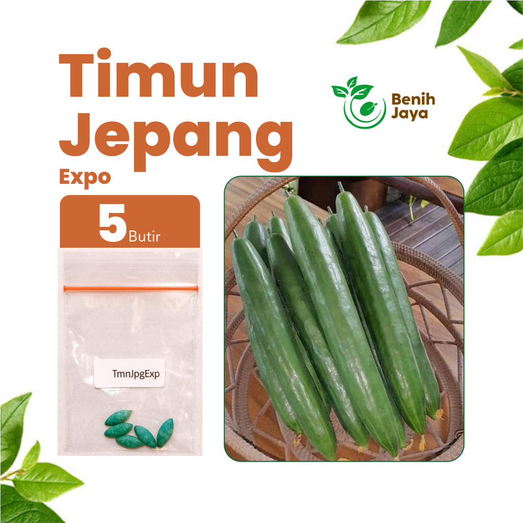 BENIH JAYA - Benih Timun Jepang Unggul Bibit Timun Jepang Super Benih Timun Jepang Berkualitas