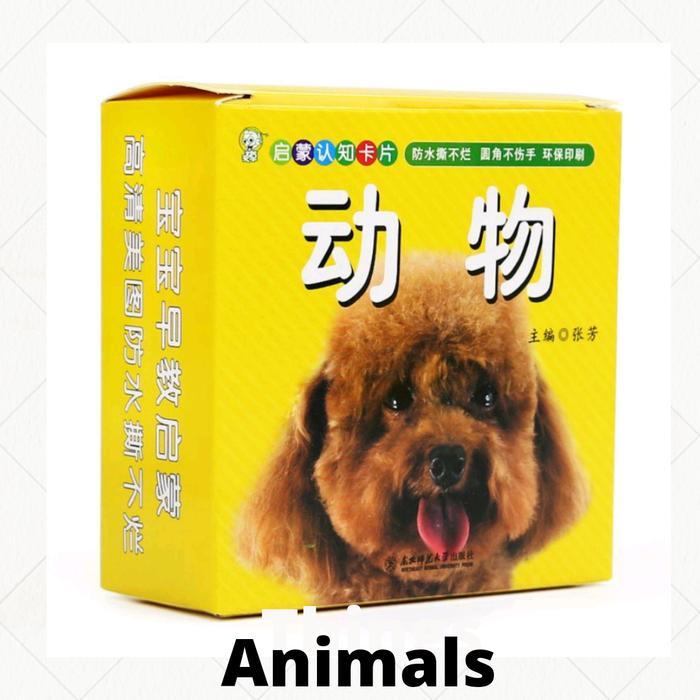 Flashcard Mandarin English - Animals
