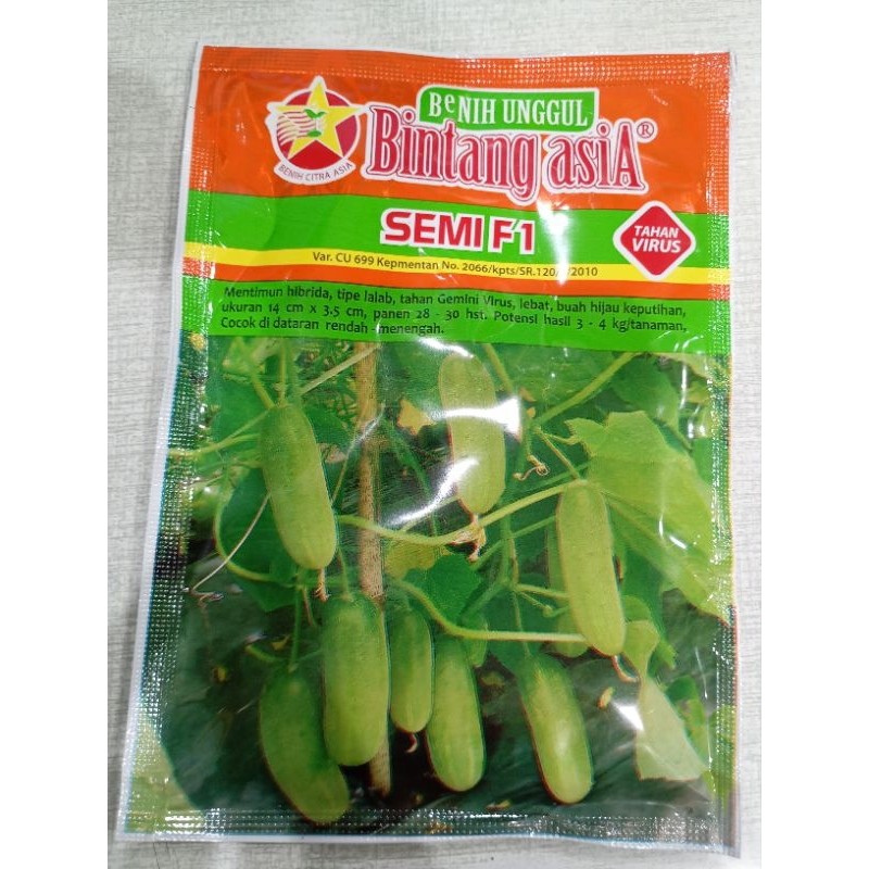 Benih bibit timun lalap Semi F1