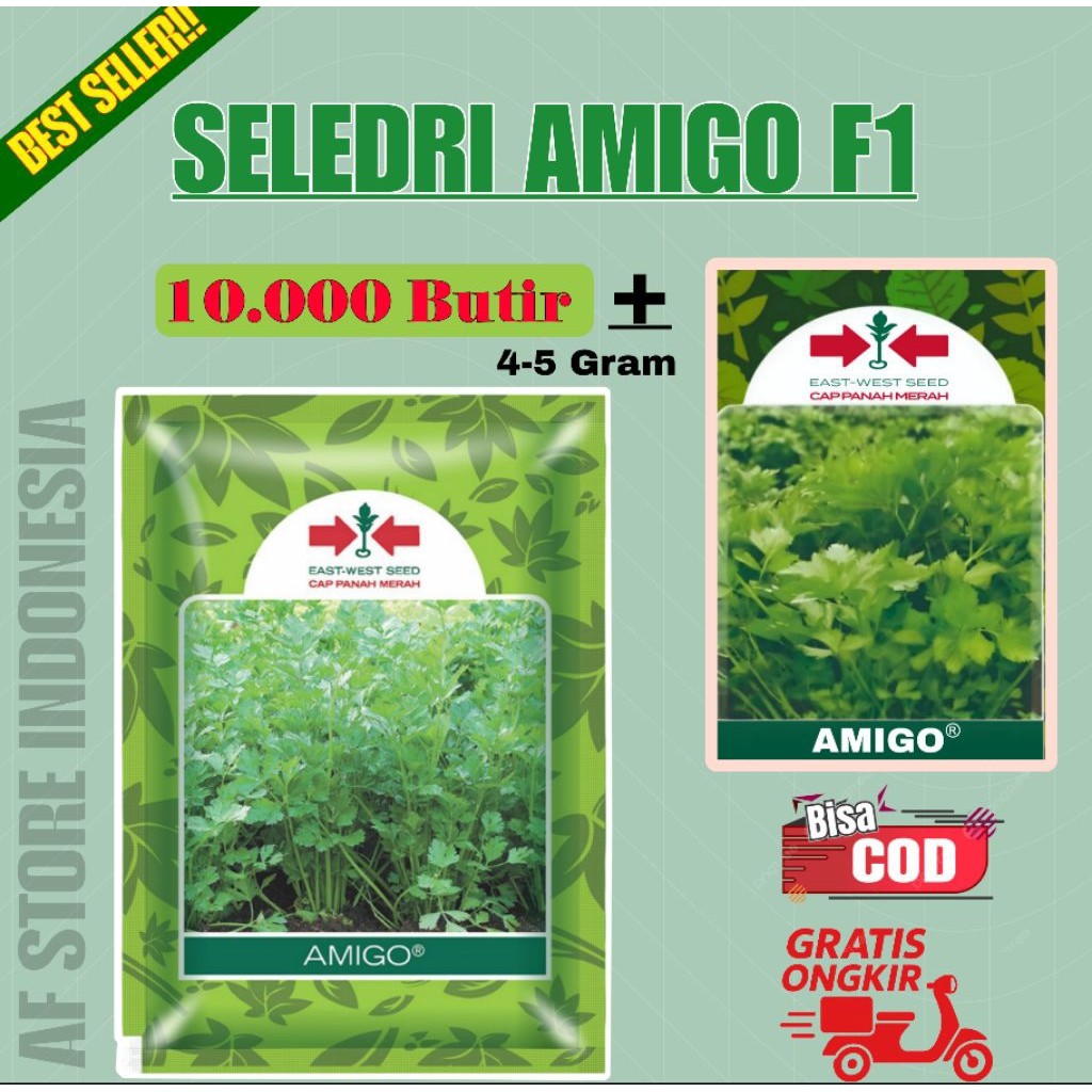 Benih Seledri AMIGO Cap Panah Merah - Daya Tumbuh Tinggi, Daun Hijau Muda, Produktif