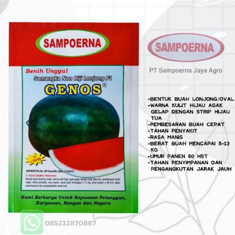 Benih Semangka Non Biji Lonjong Genos F1 Hibrida