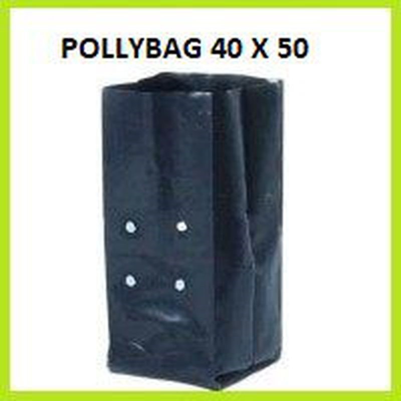 POLYBAG 40 X 50 CM 1 KG - Untuk Tanaman Sayur dan Buah