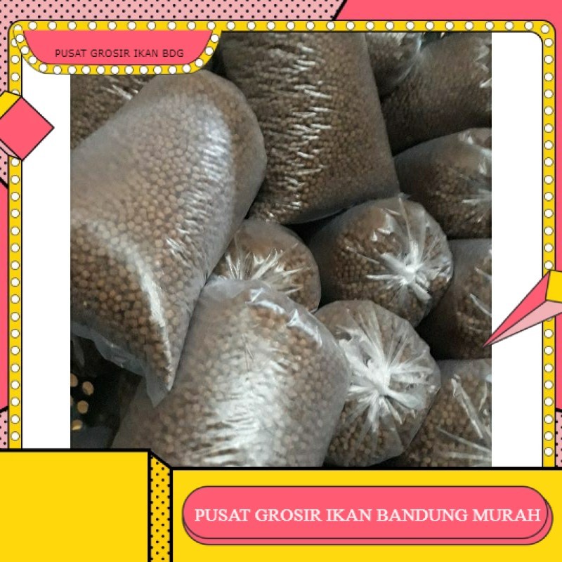 Pakan ikan ukuran 2MM 1KG - pakan ikan lele , nila , patin , bawal , ikan mas , gurame , ikan hias ,