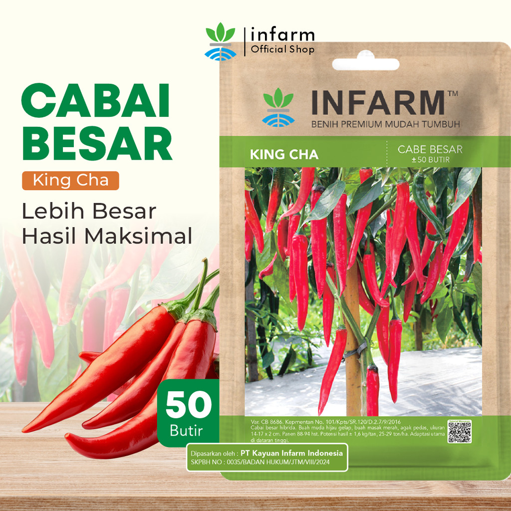 INFARM - Benih Cabai Merah Besar King Cha, Benih Unggul Cabe Merah Besar Bibit Super Cabe Merah