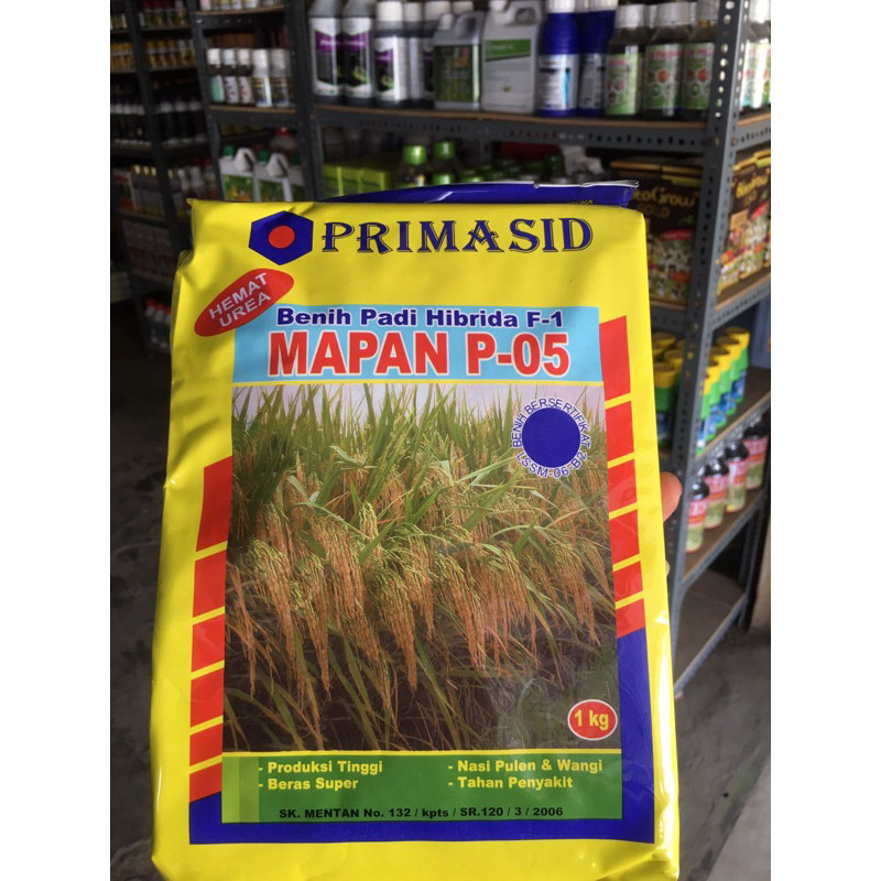 Benih Bibit Padi Hibrida Mapan 05 ORIGINAL ASLI