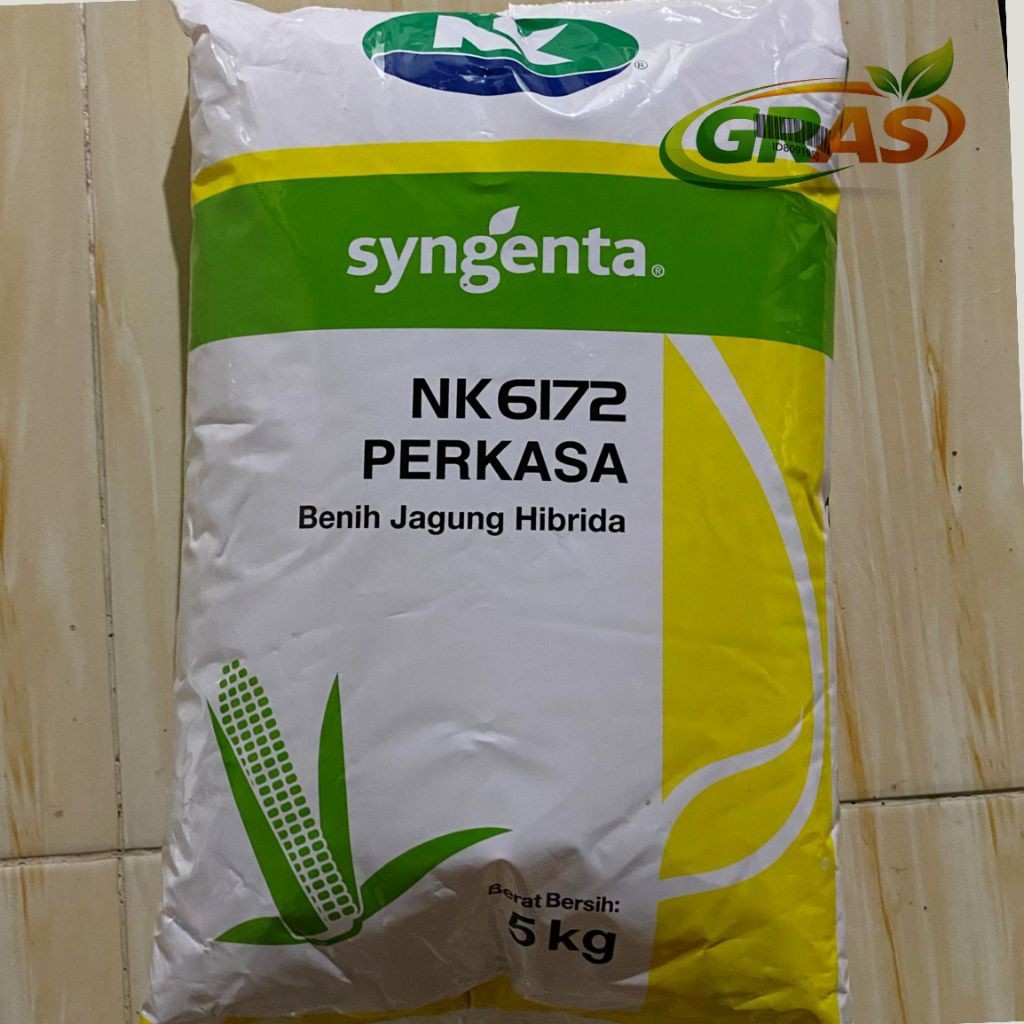 (PROMO) [STOK BARU] Bibit Jagung NK6172 PERKASA 5kg