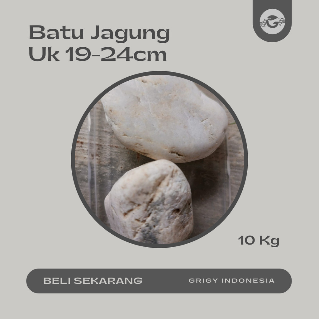 BATU JAGUNG PUTIH BESAR WHITE CORN PEBBLE STONE 10 KG