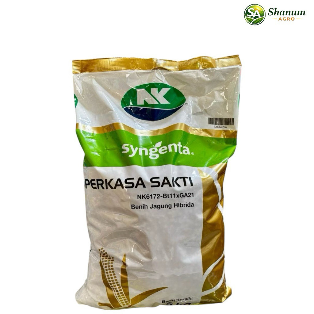 NK PERKASA SAKTI 5 Kg - Benih Jagung Nk Perkasa Sakti 5 Kg - NK6172-Bt11xGA21