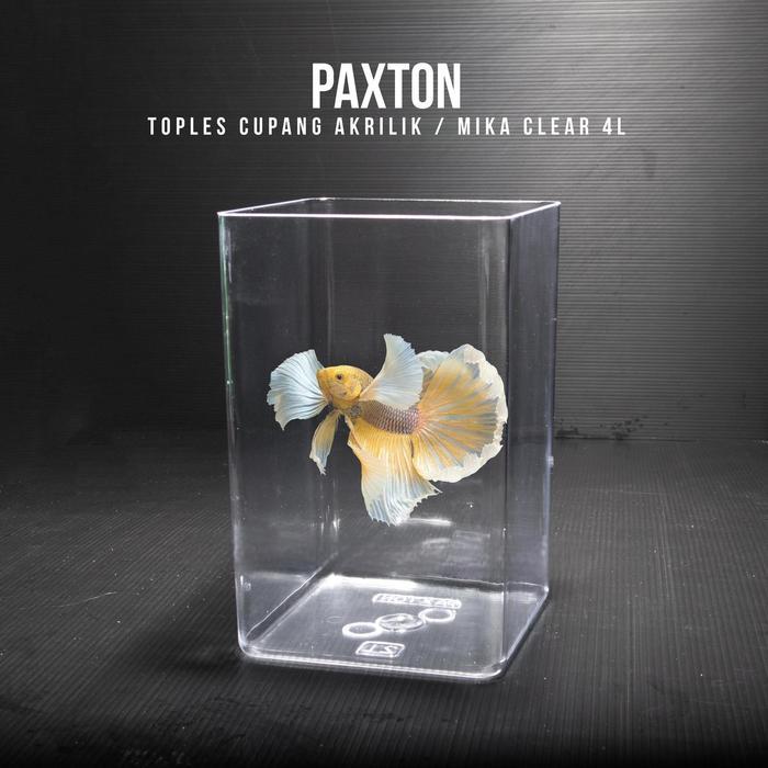 Toples Cupang 4 Liter Paxton / Toples Akrilik Mika 4L - Paxton Saja